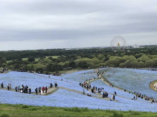 国営ひたち海浜公園