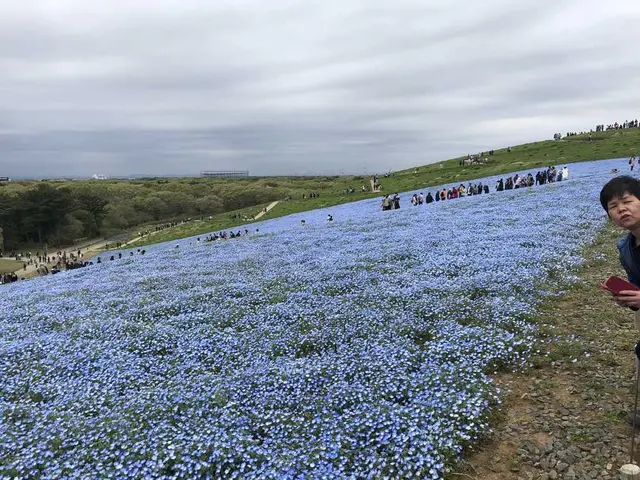 国営ひたち海浜公園