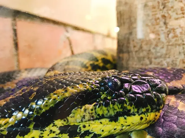 八木山動物公園フジサキの杜