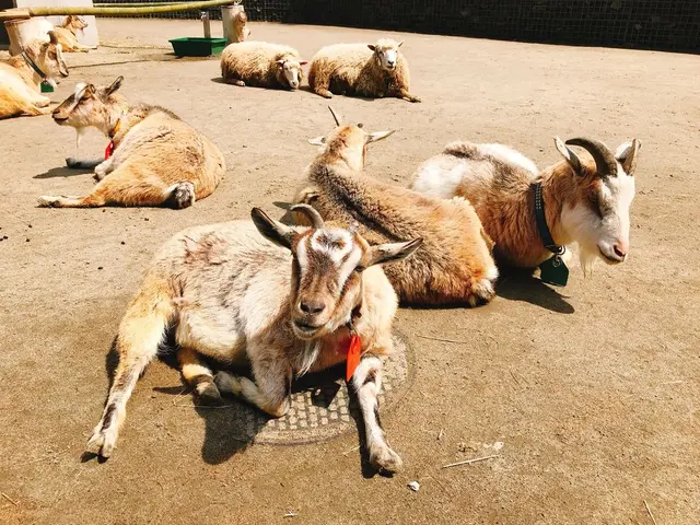 八木山動物公園フジサキの杜