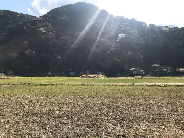 西伊豆町