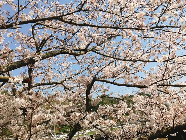 西伊豆町