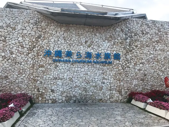きしもと食堂