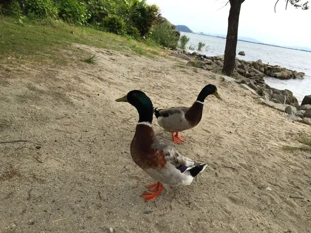 シャーレ水ヶ浜