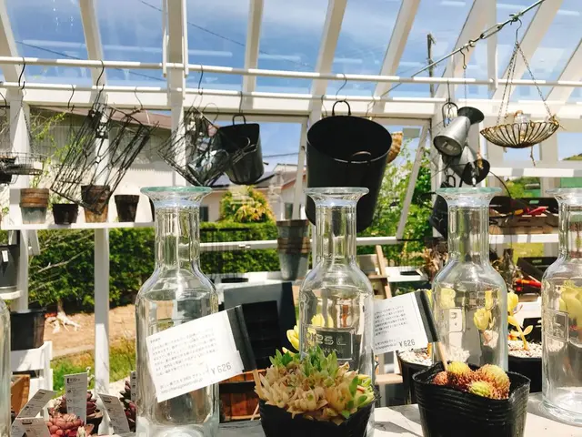 ドロフィーズインテリア