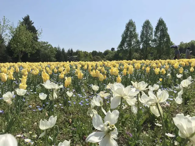 国営備北丘陵公園