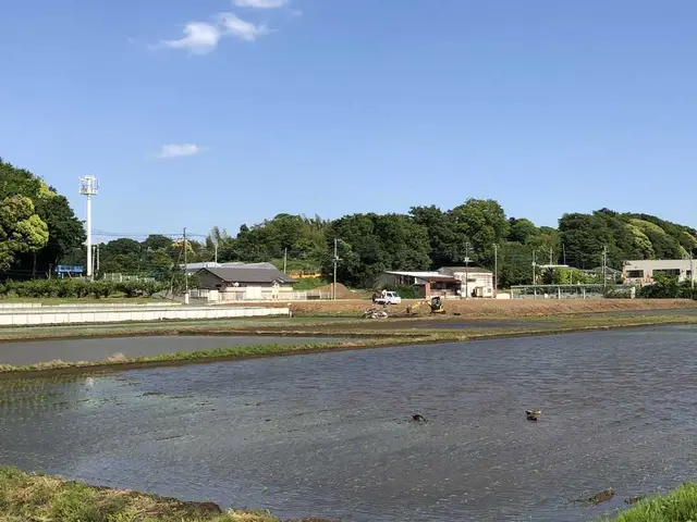 野々下水辺公園