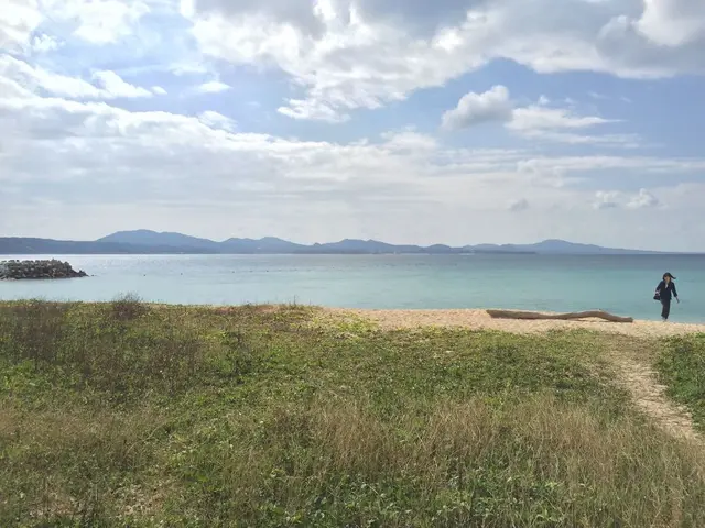 名護湾