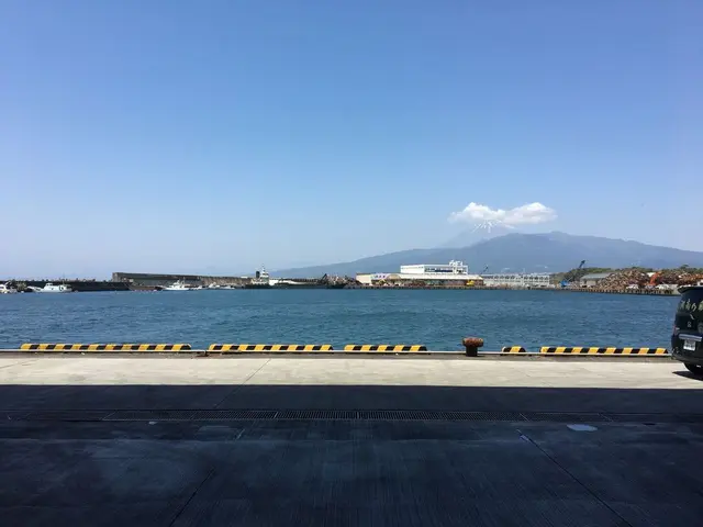 沼津魚市場食堂