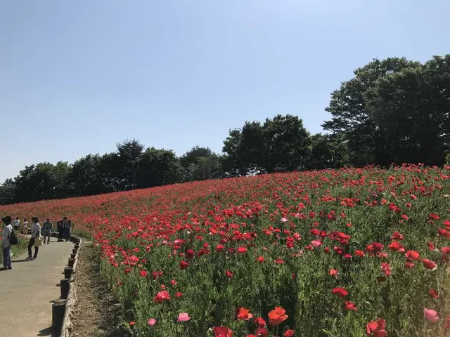 国営昭和記念公園