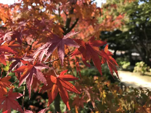 耕三寺・耕三寺博物館