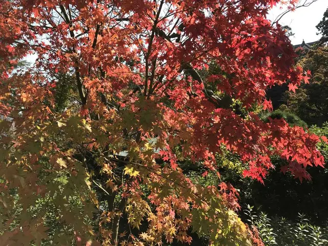 耕三寺・耕三寺博物館
