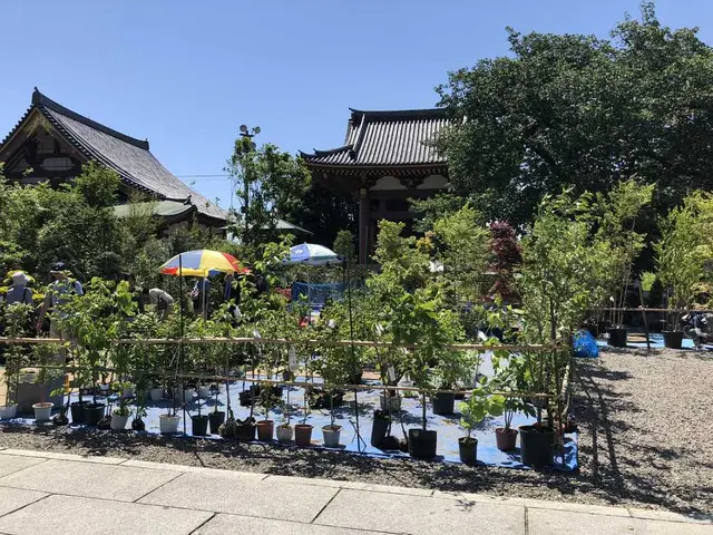 池上本門寺仁王門