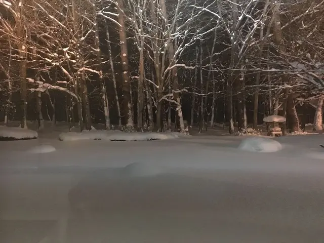 渡り温泉 ホテルさつき・別邸楓