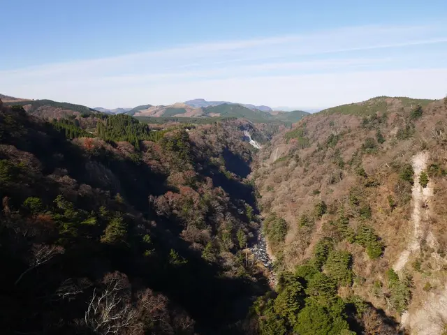 九重“夢”大吊橋