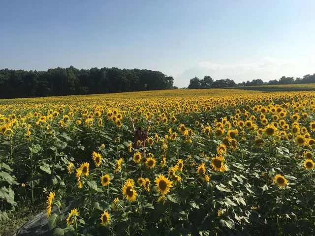 神威岬