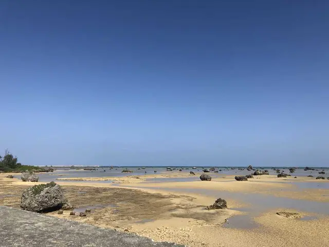 佐和田の浜