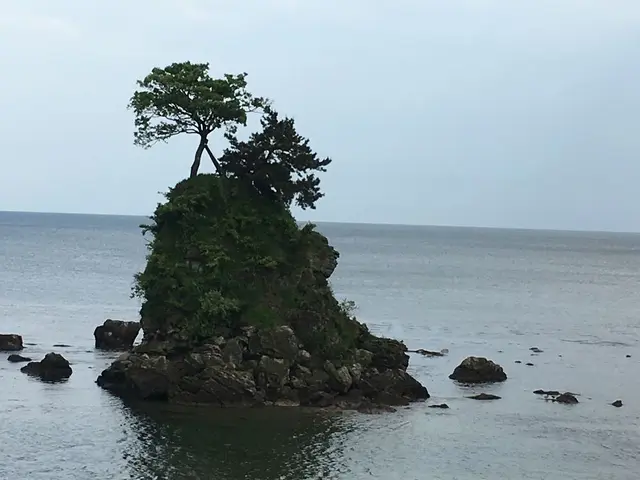 国定公園 雨晴海岸