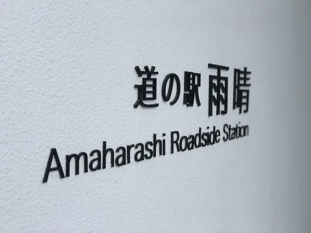 国定公園 雨晴海岸