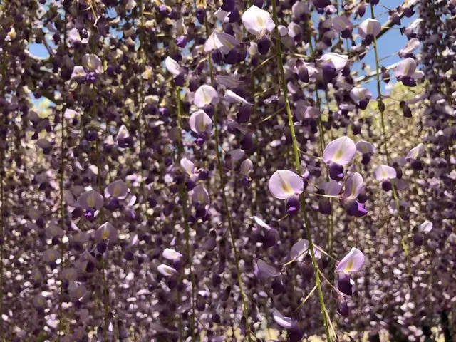 和気町歴史民俗資料館