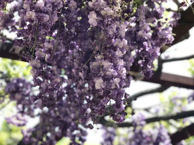 和気町歴史民俗資料館