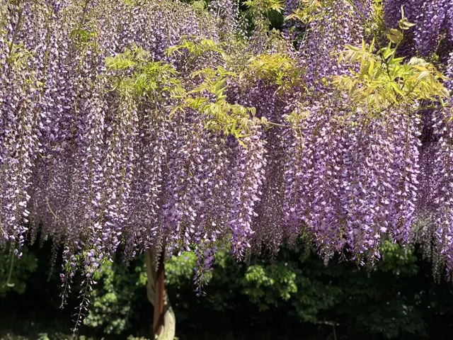 和気町歴史民俗資料館