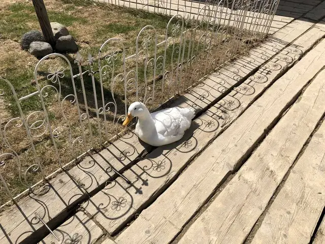 ノースサファリサッポロ