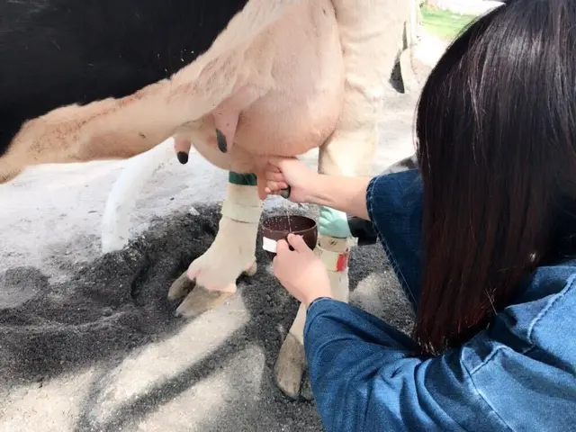 北海道箱根牧場