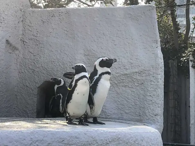 上野動物園