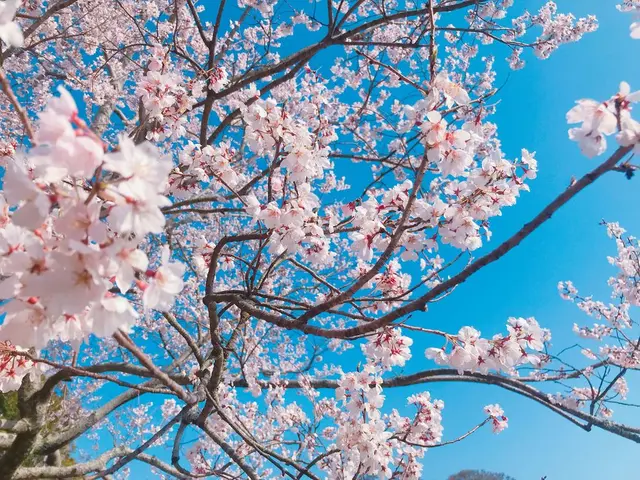 はままつフラワーパーク