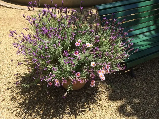 河津バガテル公園