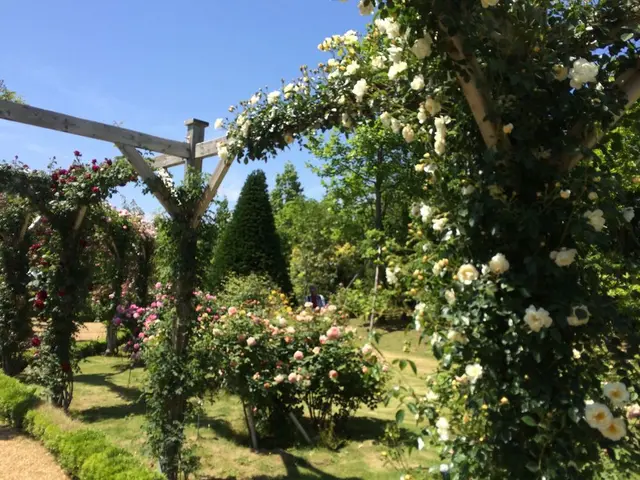 河津バガテル公園