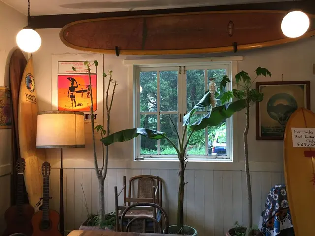 スパイスドッグ （Spicedog） 