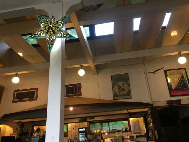 スパイスドッグ （Spicedog） 