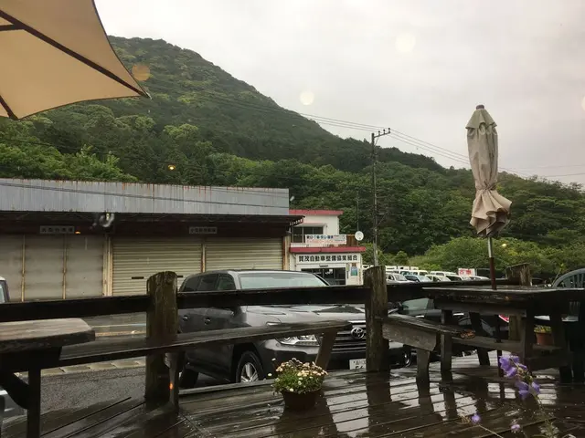 スパイスドッグ （Spicedog） 