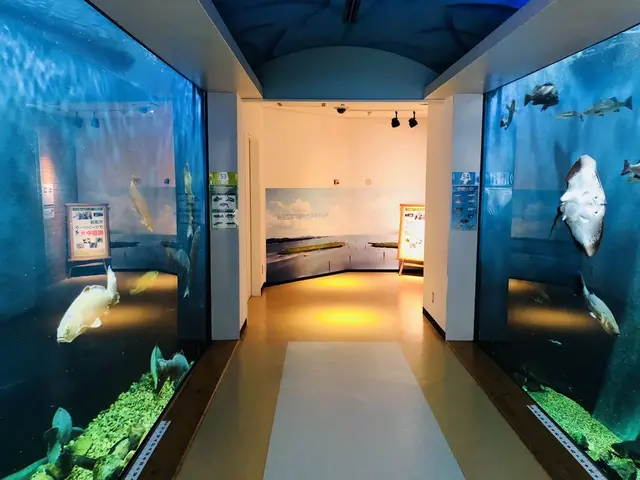 島根県立宍道湖自然館 ゴビウス