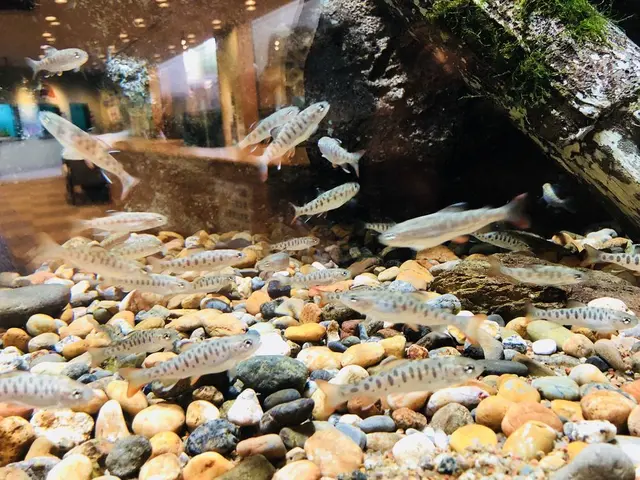 島根県立宍道湖自然館 ゴビウス