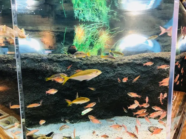 島根県立宍道湖自然館 ゴビウス
