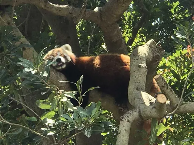 熱川バナナワニ園