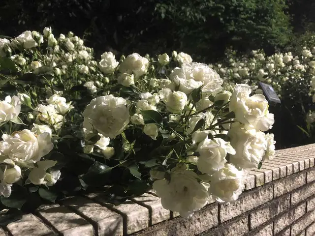 都市緑化植物園