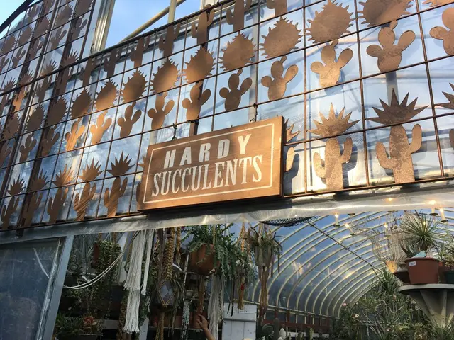 ソルソファーム