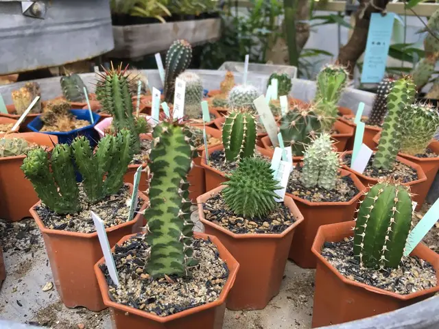 ソルソファーム