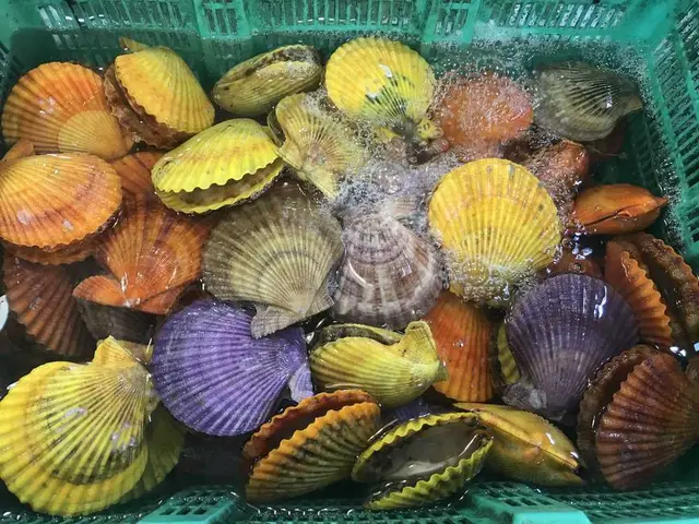 道の駅・海の駅 宇土マリーナ