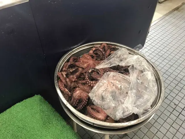 道の駅・海の駅 宇土マリーナ