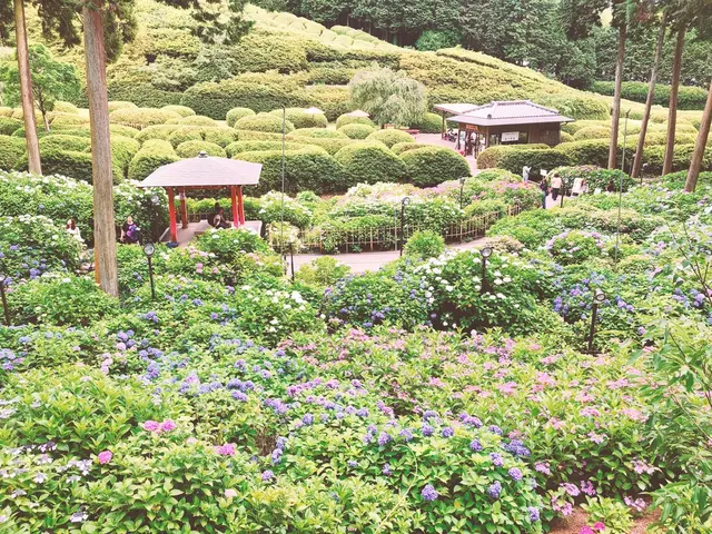 三室戸寺