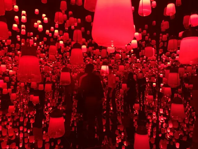 【閉業】森ビルデジタルアートミュージアム：エプソン チームラボボーダレス（MORI Building Digital Art Museum: EPSON teamLab Borderless）