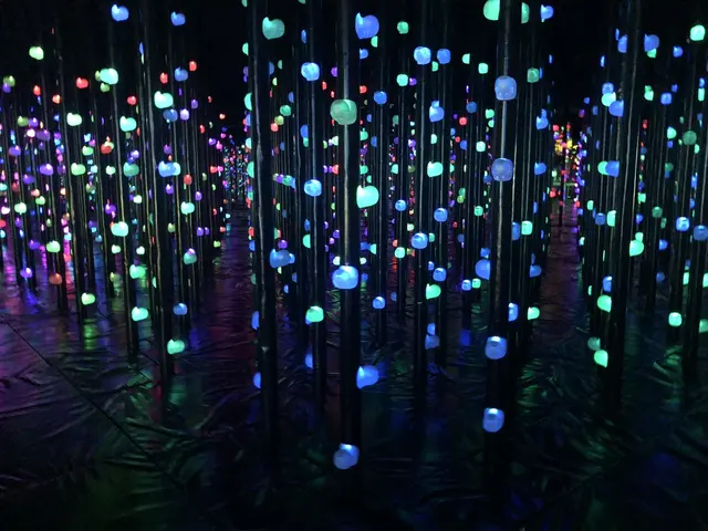 【閉業】森ビルデジタルアートミュージアム：エプソン チームラボボーダレス（MORI Building Digital Art Museum: EPSON teamLab Borderless）