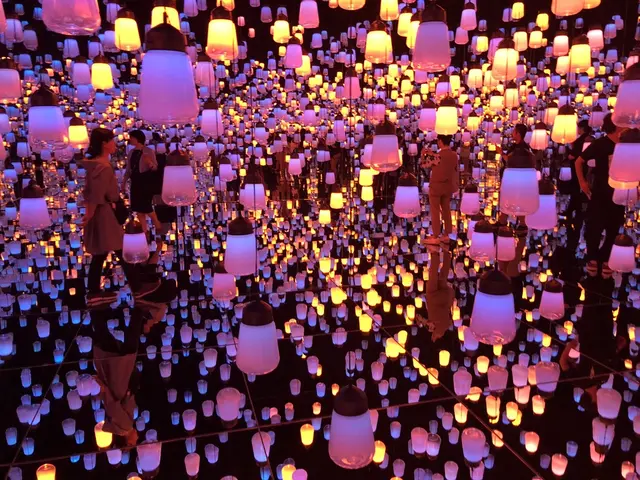 【閉業】森ビルデジタルアートミュージアム：エプソン チームラボボーダレス（MORI Building Digital Art Museum: EPSON teamLab Borderless）