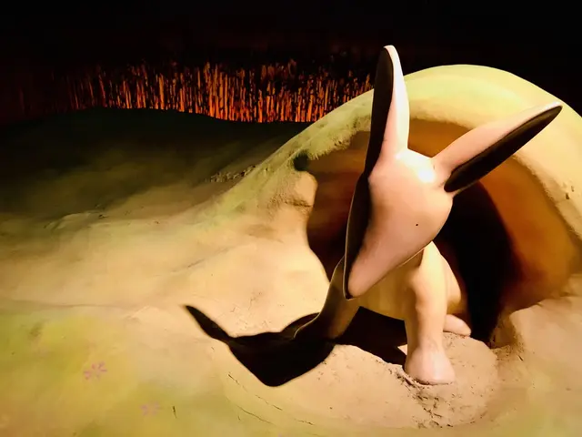 【閉業】星の王子さまミュージアム