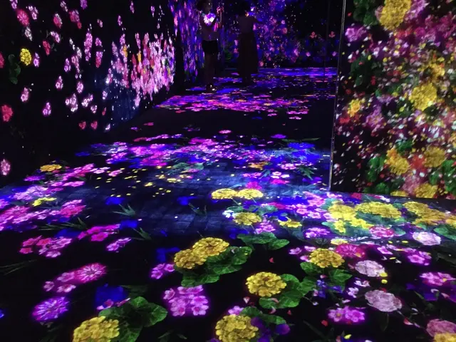 【閉業】森ビルデジタルアートミュージアム：エプソン チームラボボーダレス（MORI Building Digital Art Museum: EPSON teamLab Borderless）